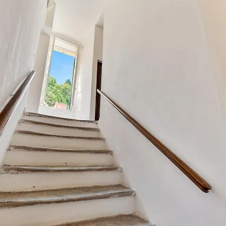 Magnolia, Terre Marine Lerici