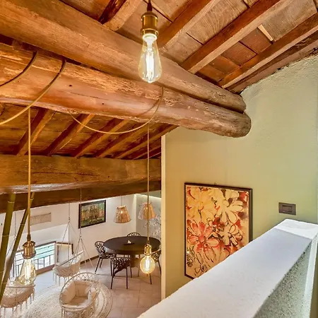 Magnolia, Terre Marine レーリチ